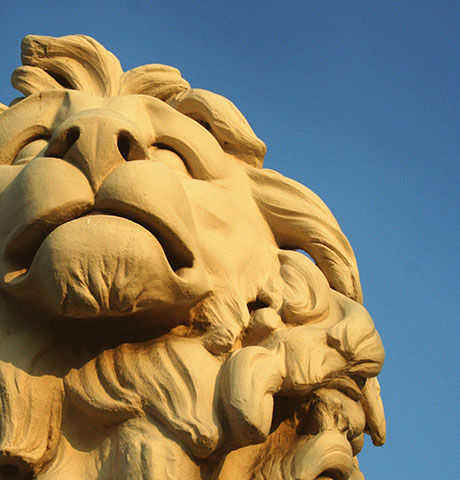 响应迅速给力的网页免费发手机号